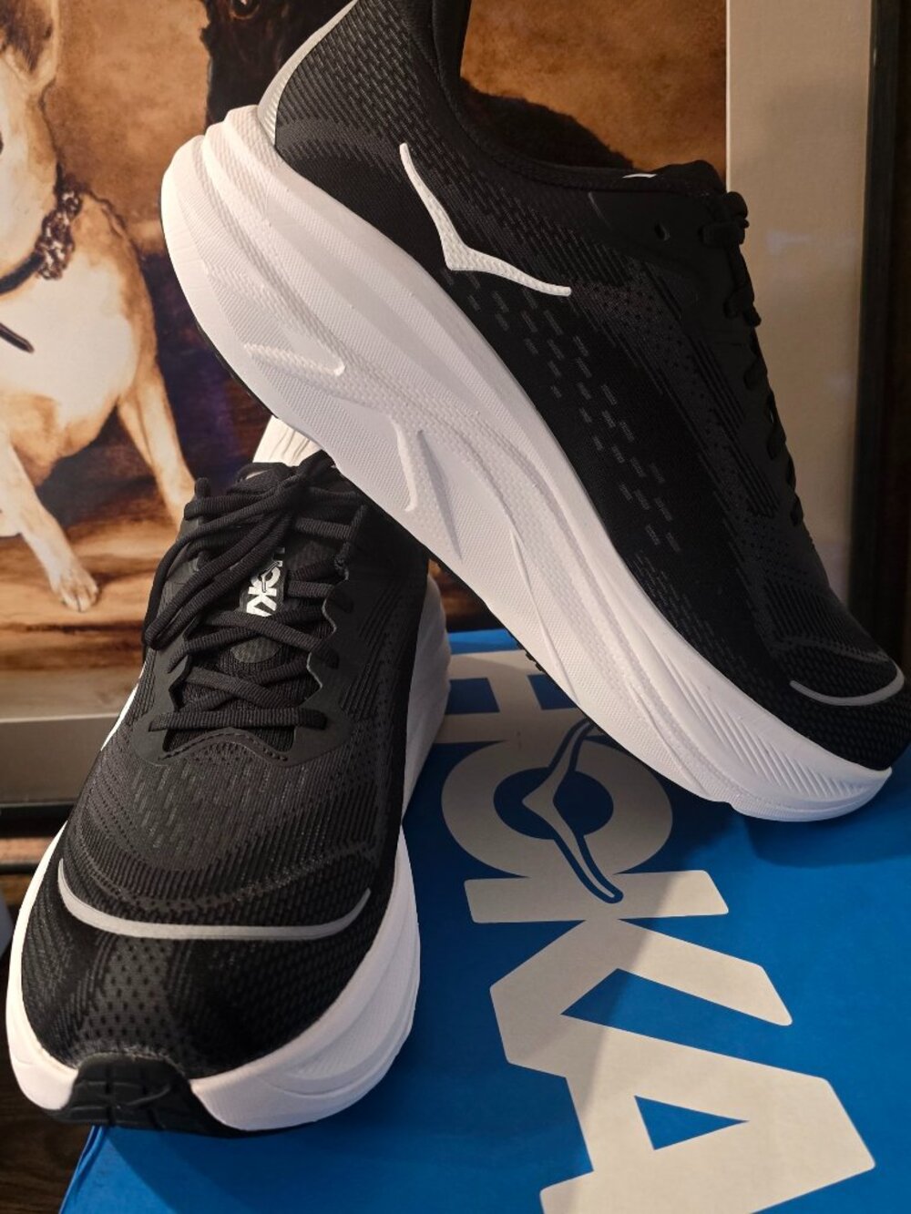 Hoka One One Skyflow Black / White 1155117-BWHT Men's Size 11 EE Wide New